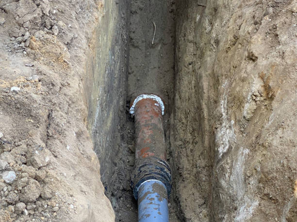 Best Basement water damage restoration  in Roaring Spring, PA
