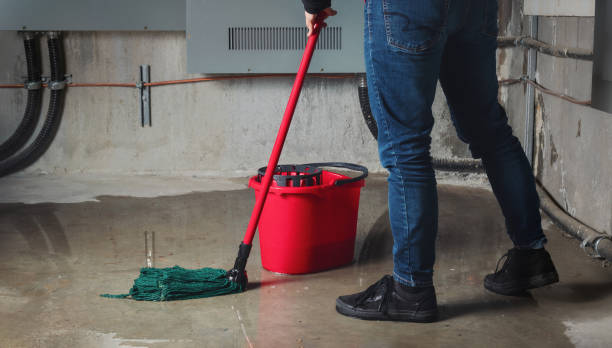 Best Ceiling water damage repair  in Roaring Spring, PA