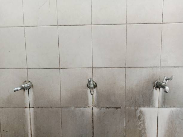 Best Water damage contractors near me  in Roaring Spring, PA