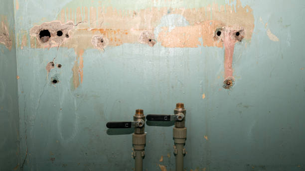 Best Carpet water damage restoration  in Roaring Spring, PA