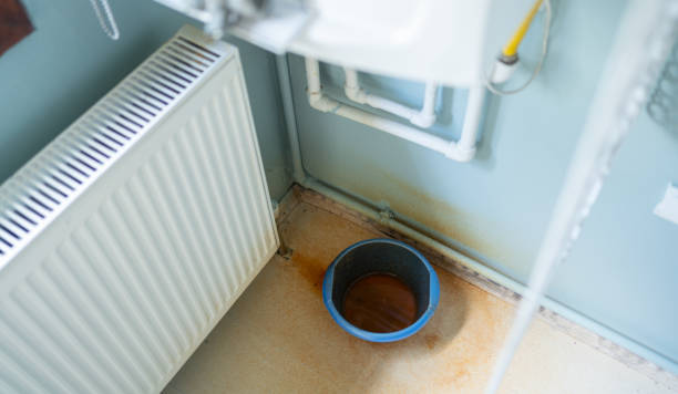 Best Water damage cleanup near me  in Roaring Spring, PA
