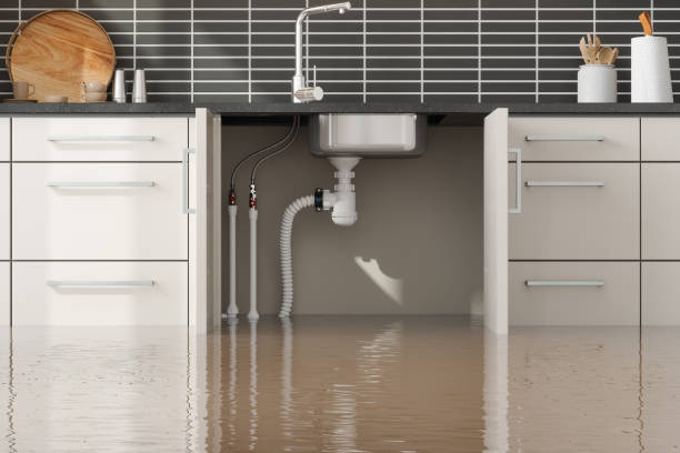 Best Sewage cleanup and water damage restoration  in Roaring Spring, PA